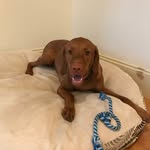 Ginger Hawkes - @hawkesginger - Instagram