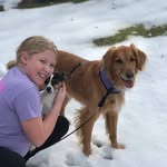 goldie ginger hawk - @goldie__the_dog_12346 - Instagram