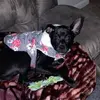 jack - @gingerhess8 - TikTok