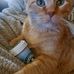 Ginger Hicks - Facebook