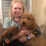 Ginger Hicks - @gingerhicks239 - Instagram