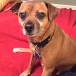 Ginger Hicks Chilton - @gingerchilton - Instagram