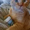 gingerhicks878 - @gingerhicks878 - TikTok