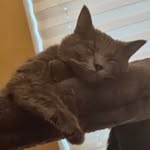 Ginger Hixson Kahl - @kahlginger - Instagram