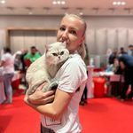 Popescu Elena - @ginger_house_elena - Instagram