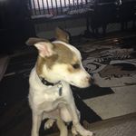 Ginger Hodges - @hodges.ginger - Instagram