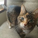 Ginger M. L. Hodges - @_ginger.gram - Instagram