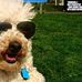 Ginger Darwin Hoffman - Facebook