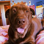 Ginger - @ginger_holbrook472 - Instagram