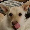 Ginger Holliday - @whiskeylove2020 - TikTok