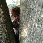 Ginger Hollifield - @gingerhollifield - Instagram