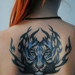 Белка - @ginger_honey - Instagram