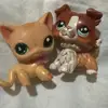 gingerhoney_lps - @gingerhoney_lps - TikTok