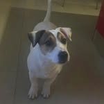 Hook&Ginger - @hook_ginger - Instagram