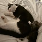 Ginger Hope - Facebook