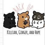 @killian_ginger_hope_backup - Instagram