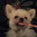 Ginger Hornbuckle - Facebook