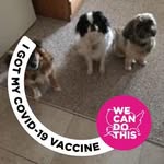 Ginger Horner - @gingerhorner - Instagram