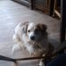 Ginger Houck - Facebook
