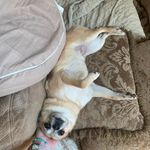 Ginger Houck - @ging.erhouck - Instagram