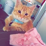 Ginger Houston - @life_of_ginger_houston - Instagram