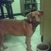 Ginger Huffman-Wolfe - Facebook