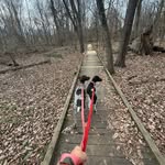Ginger Klesk-Huffman - @gingerklesk - Instagram