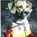 Ginger Inman - Facebook