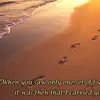 Ginger Inness - @ginger.inness - TikTok