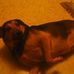 Ginger Irvin - Facebook