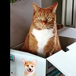@g.i.n.g.e.r.j.a.c.k - Instagram