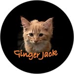 Ginger Jack - @gingerjackcreations - Instagram