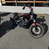 Jack Kane - @gingerjack2 - TikTok