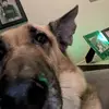 Jacob_Ginger_24 - @jacob_ginger_97 - TikTok