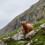 Jacob Steves - @gingerjacob - Instagram