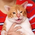 Ginger Jaeger - @ginge.r2011 - Instagram