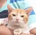 Ginger Jaeger - Facebook
