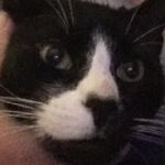 Ginger_Jay_2022 - @ginger_jay_2022 - Instagram