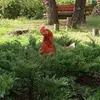zuzanajenkinsginger - @zuzanajenkinsginger - TikTok