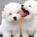 ginger.__. johns - @ginger.__.johns - Instagram