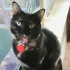Ginger Johns - @ginger.johns - TikTok