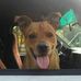 Ginger Joiner - Facebook