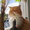 gingerjoeyy - @gingerjoeyy - TikTok