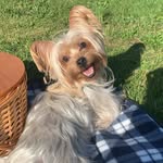 Ginger Bear - @gingerkayyy - Instagram