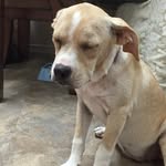Ginger - @gingerkayla - Instagram