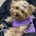 Sue Kellogg Thompson - Facebook