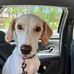 Ginger Kenny Hablutzel - Facebook
