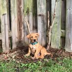 Ginger Kerr - Facebook