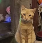 Ginger Kim - Facebook