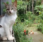 Ginger Kim - Facebook